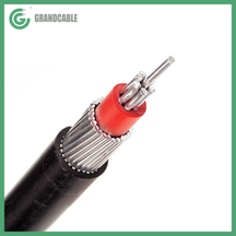 Cable 10mm2 PVC Concentric AA Cables Insulated