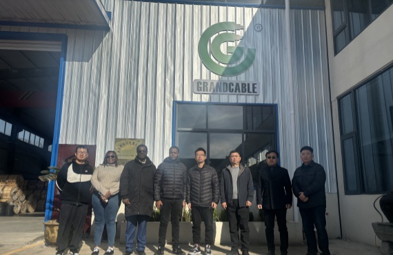 Kenya Etrades Visit
