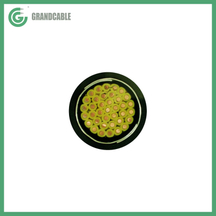 Multicore CU/PVC/STA/PVC Double Steel Tape Armored Control Cable 450/750V & 0.6/1kV