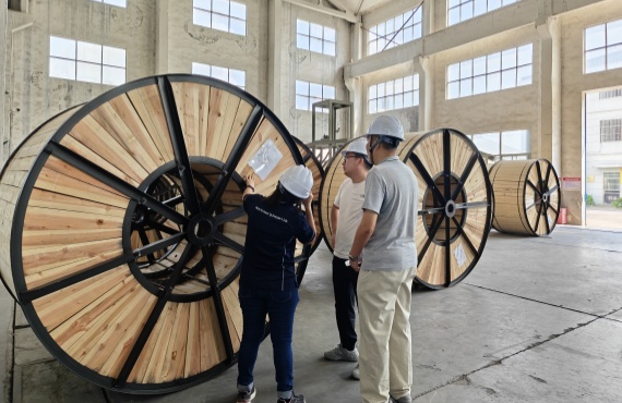 Reinforcing Collaboration: GRAND CABLE Hosts Productive Visit From Malaysia